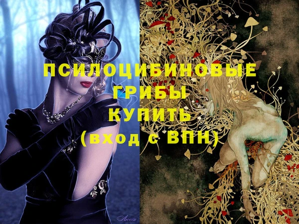 ALPHA PVP Белокуриха