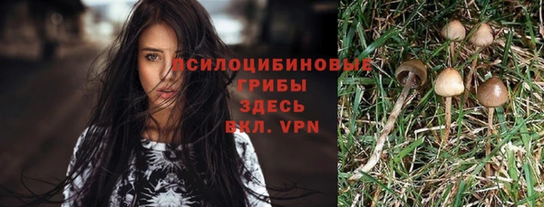 ALPHA PVP Белокуриха