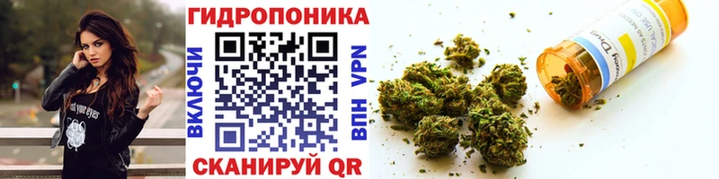 OMG зеркало Липецк Бошки марихуана AK-47